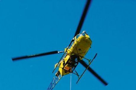 Une soixantaine de bêtes a déjà été sauvée de cette manière - Photo Simon Le Baro