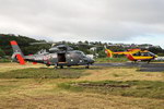 Le Dauphin et Dragon 50 F-ZBPQ - Photo © Pascal Gauthier