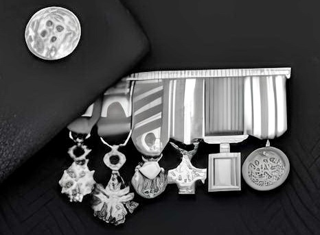 Les médailles du général Valérie André - Photo DR