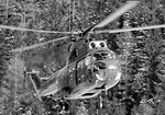 Le SA 330 Puma venu de Marignane, piloté par Jean Boulet/Roland Coffignot, en approche de la DZ des Bois pour y atterrir - Photo DR