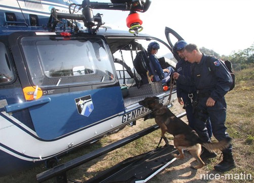 L'embarquement, le survol et, sur place, après repérage d'une plantation, la destruction des plants sur ordre du parquet - Photo Richard Ray