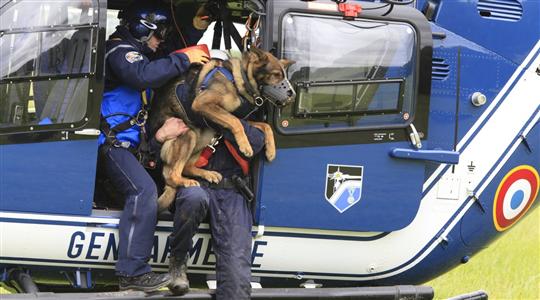 Dans cet exercice, le chien doit avoir une confiance totale dans son maître - Photo Hervé Kielwasser