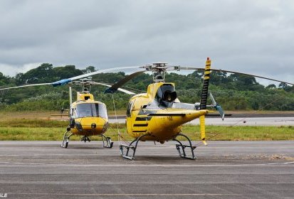 Jour d'arrivée. Jeu de miroir avec deux Écureuil jaunes canari sur le (...)