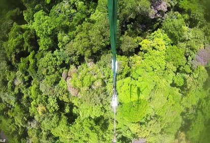 Des nuances de verts dignes d'un tableau de maître - © Patrick GISLE