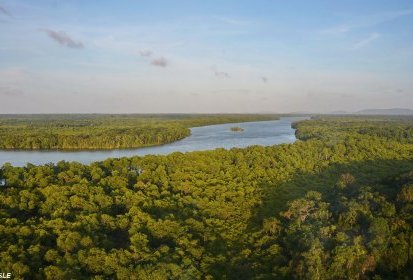 La grosse rivière de Montsinéry qui rejoint Cayenne - © Patrick GISLE