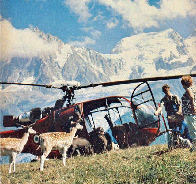 Alouette III 319C (« Astazou ») s'est posé à Merlet, au-dessus de Chamonix, parmi les daims et les marcassins du parc d'animaux. Appartenant à la Protection civile, son équipage est chargé de la surveillance et du sauvetage dans cette vallée des Alpes - Photos Jean Pérard